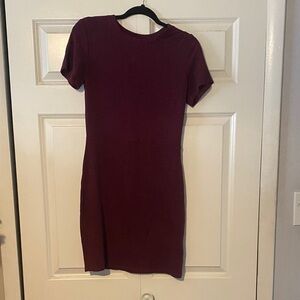 Express Rich Burgundy Mini Dress